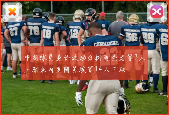 申花球员身价波动分析蒋圣龙等7人上涨米内罗阿苏埃等14人下跌